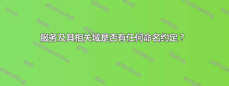 服务及其相关域是否有任何命名约定？