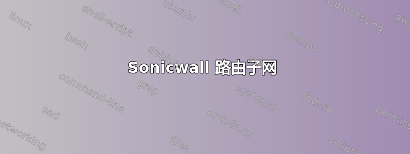 Sonicwall 路由子网