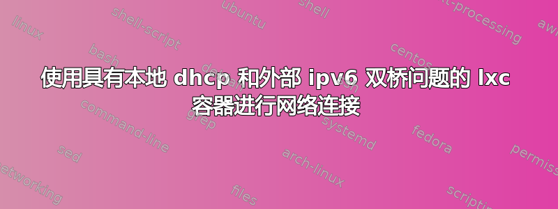 使用具有本地 dhcp 和外部 ipv6 双桥问题的 lxc 容器进行网络连接