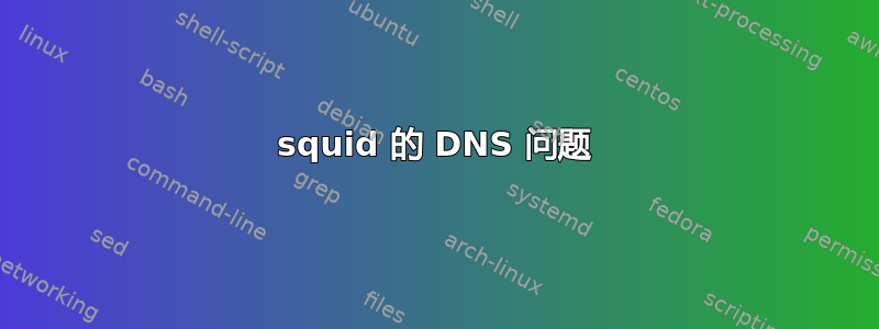 squid 的 DNS 问题