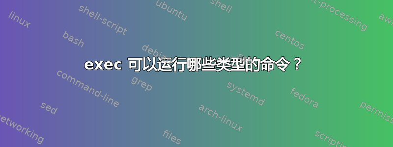 exec 可以运行哪些类型的命令？