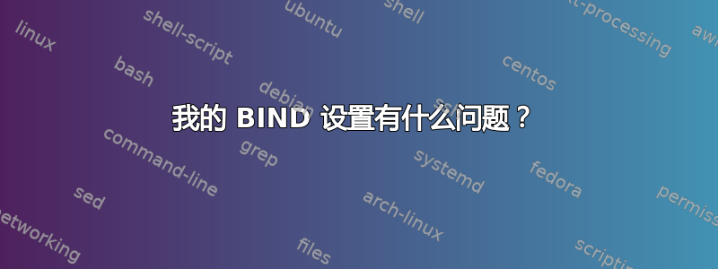 我的 BIND 设置有什么问题？