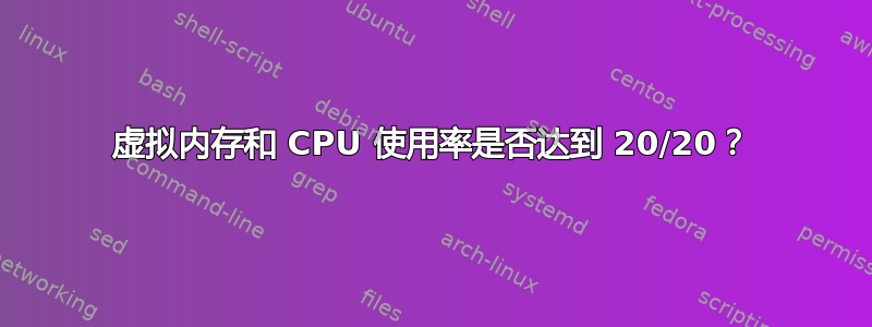 虚拟内存和 CPU 使用率是否达到 20/20？