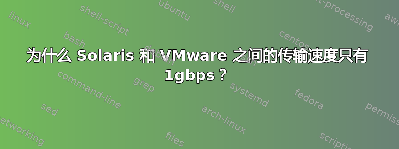 为什么 Solaris 和 VMware 之间的传输速度只有 1gbps？