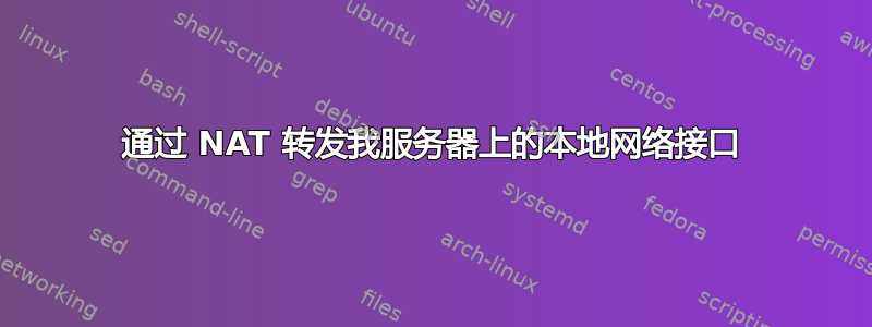 通过 NAT 转发我服务器上的本地网络接口