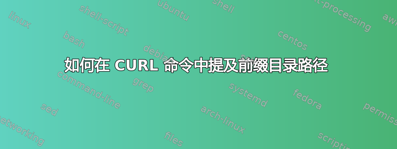 如何在 CURL 命令中提及前缀目录路径