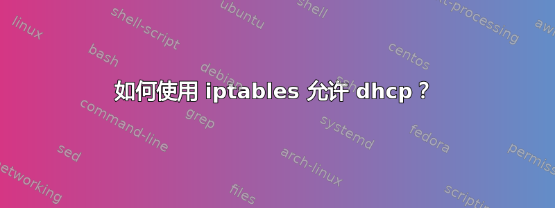 如何使用 iptables 允许 dhcp？