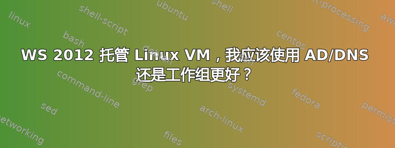 WS 2012 托管 Linux VM，我应该使用 AD/DNS 还是工作组更好？