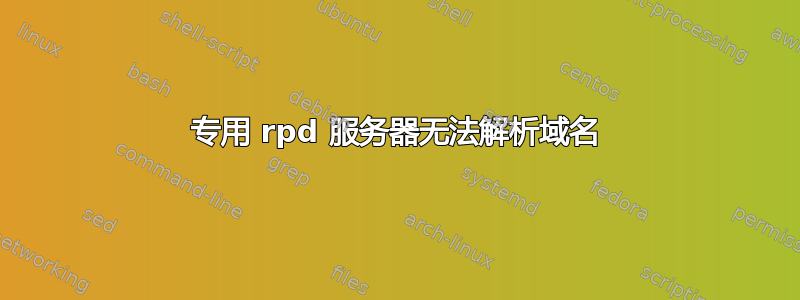 专用 rpd 服务器无法解析域名