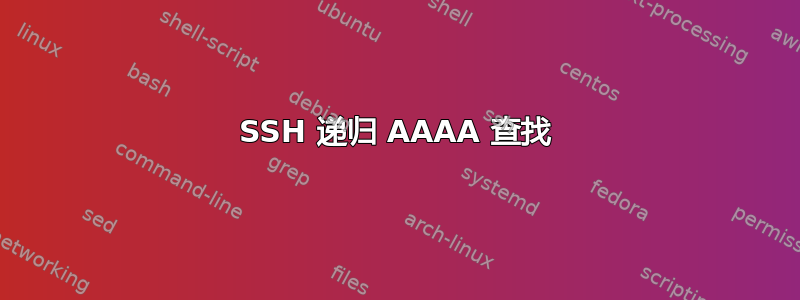 SSH 递归 AAAA 查找