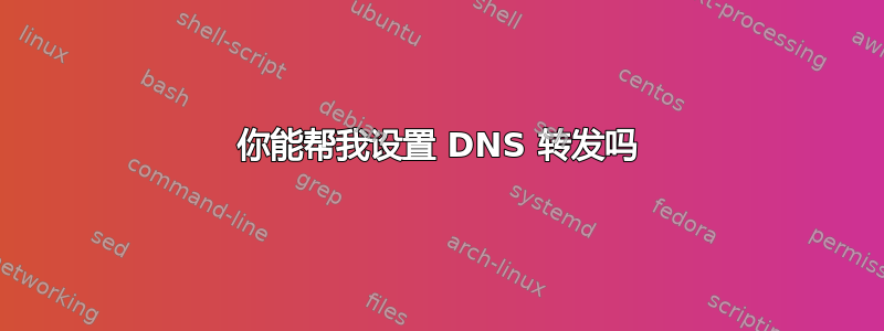 你能帮我设置 DNS 转发吗