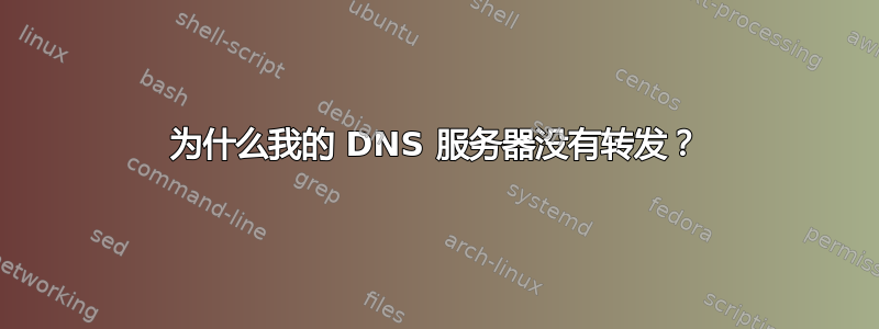 为什么我的 DNS 服务器没有转发？