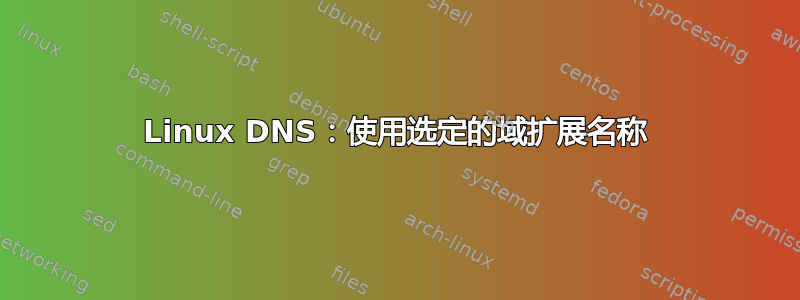 Linux DNS：使用选定的域扩展名称