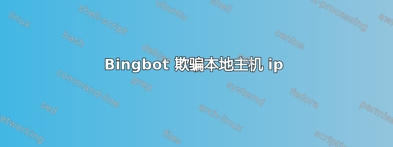 Bingbot 欺骗本地主机 ip