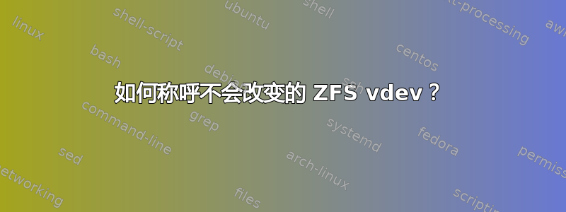 如何称呼不会改变的 ZFS vdev？