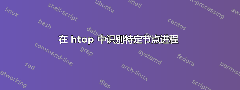 在 htop 中识别特定节点进程