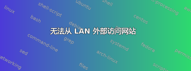 无法从 LAN 外部访问网站 