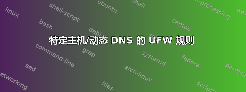 特定主机/动态 DNS 的 UFW 规则