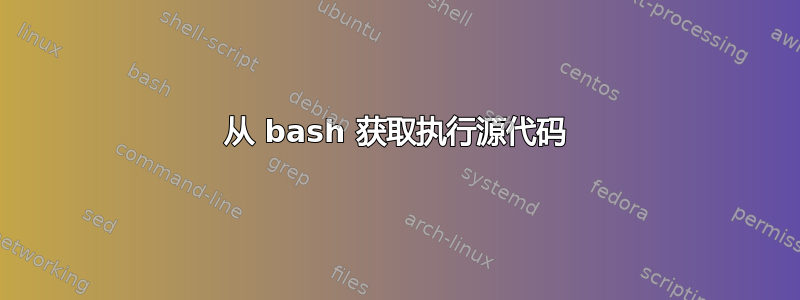 从 bash 获取执行源代码