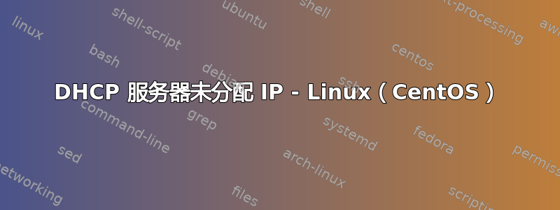 DHCP 服务器未分配 IP - Linux（CentOS）