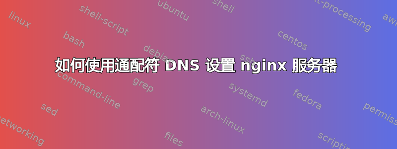 如何使用通配符 DNS 设置 nginx 服务器