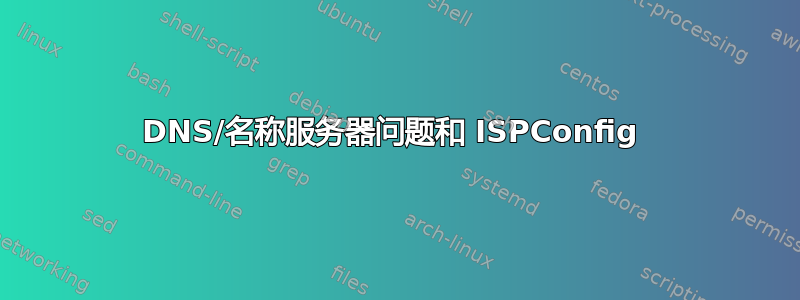 DNS/名称服务器问题和 ISPConfig 