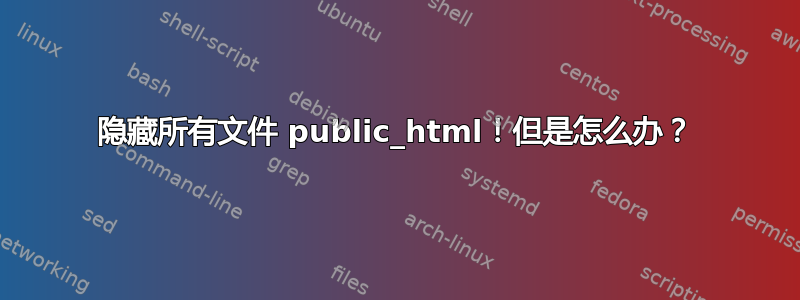 隐藏所有文件 public_html！但是怎么办？