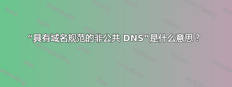 “具有域名规范的非公共 DNS”是什么意思？