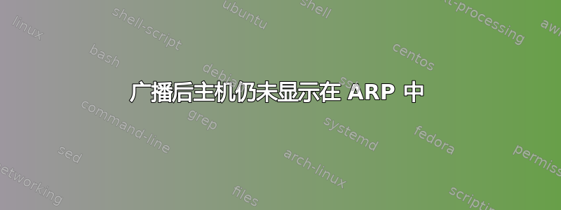 广播后主机仍未显示在 ARP 中