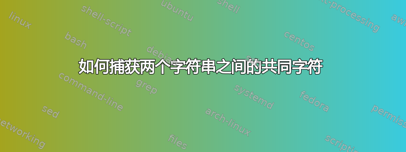 如何捕获两个字符串之间的共同字符