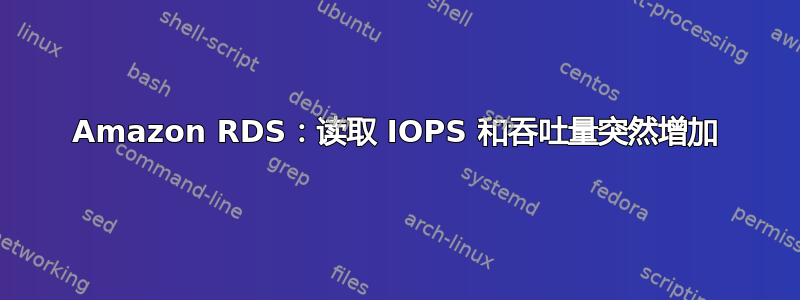 Amazon RDS：读取 IOPS 和吞吐量突然增加