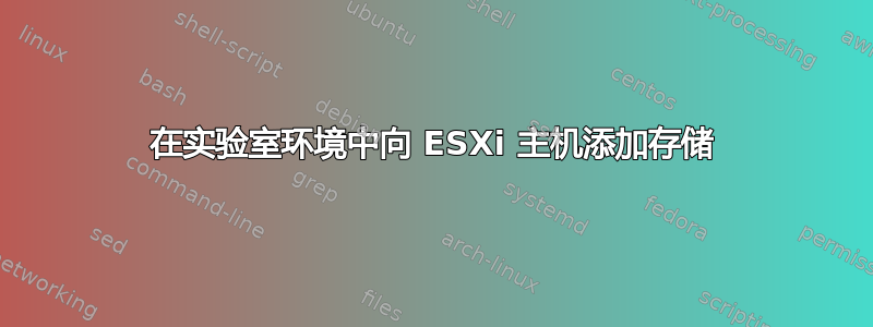 在实验室环境中向 ESXi 主机添加存储