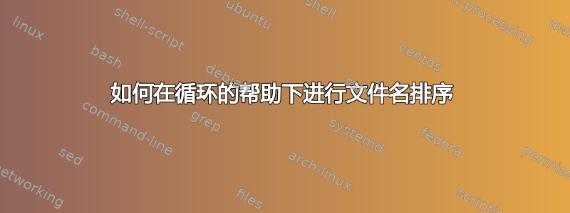 如何在循环的帮助下进行文件名排序