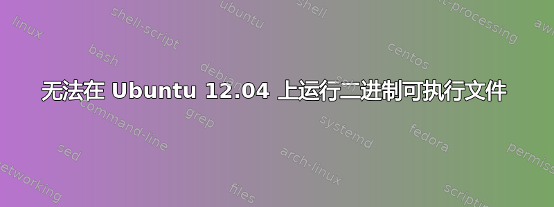 无法在 Ubuntu 12.04 上运行二进制可执行文件