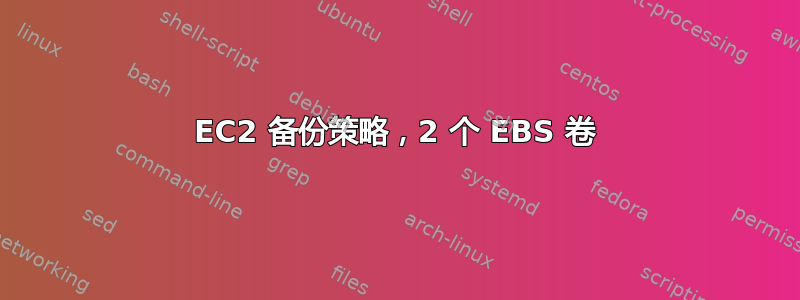 EC2 备份策略，2 个 EBS 卷