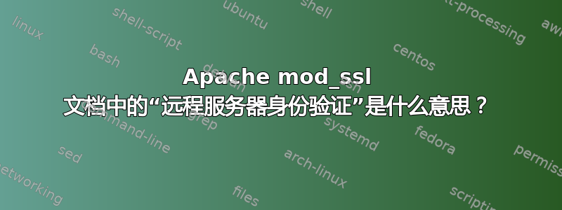 Apache mod_ssl 文档中的“远程服务器身份验证”是什么意思？