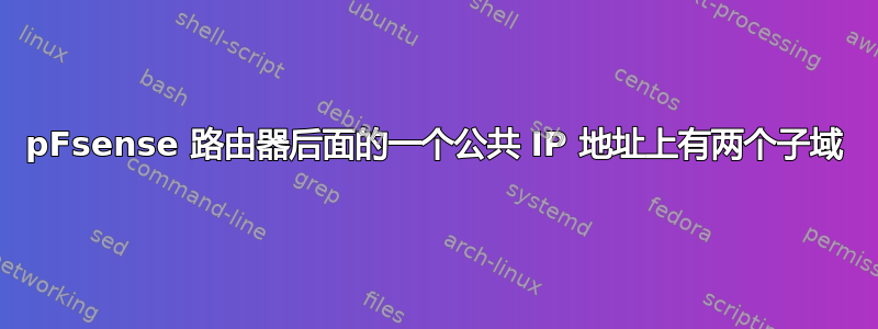 pFsense 路由器后面的一个公共 IP 地址上有两个子域