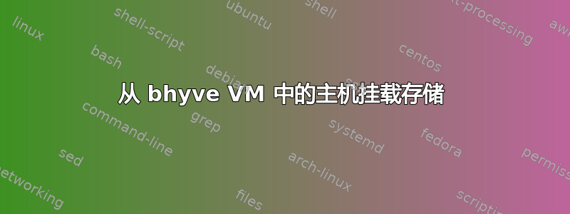 从 bhyve VM 中的主机挂载存储