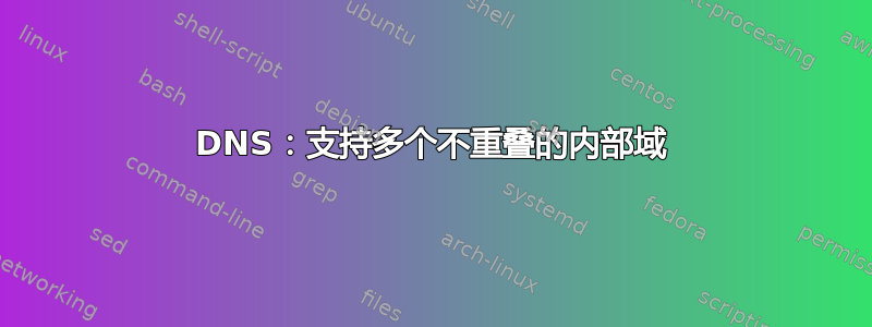 DNS：支持多个不重叠的内部域