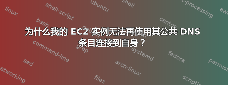 为什么我的 EC2 实例无法再使用其公共 DNS 条目连接到自身？