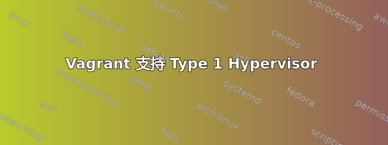 Vagrant 支持 Type 1 Hypervisor