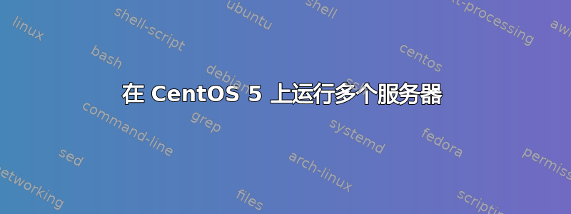 在 CentOS 5 上运行多个服务器