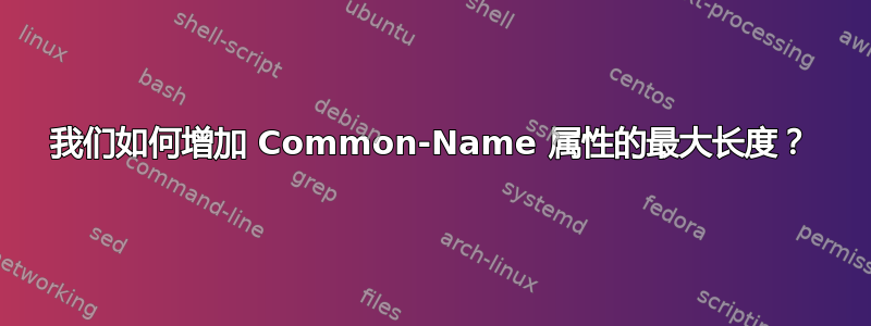 我们如何增加 Common-Name 属性的最大长度？