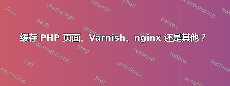 缓存 PHP 页面、Varnish、nginx 还是其他？