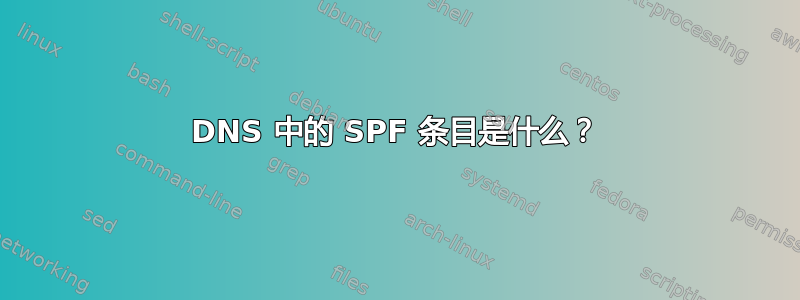 DNS 中的 SPF 条目是什么？