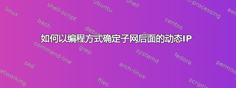 如何以编程方式确定子网后面的动态IP