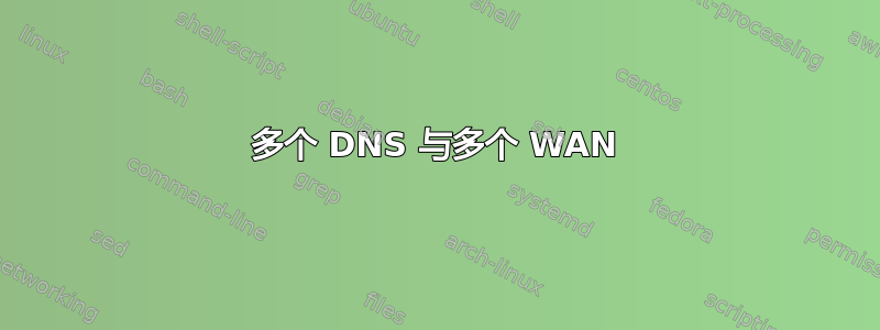 多个 DNS 与多个 WAN