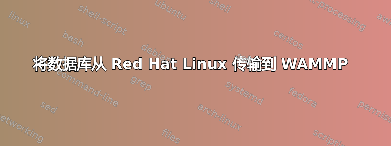 将数据库从 Red Hat Linux 传输到 WAMMP 