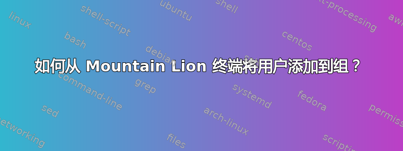 如何从 Mountain Lion 终端将用户添加到组？