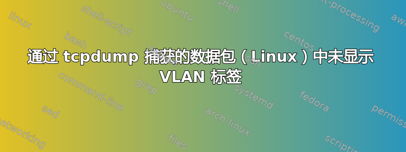 通过 tcpdump 捕获的数据包（Linux）中未显示 VLAN 标签